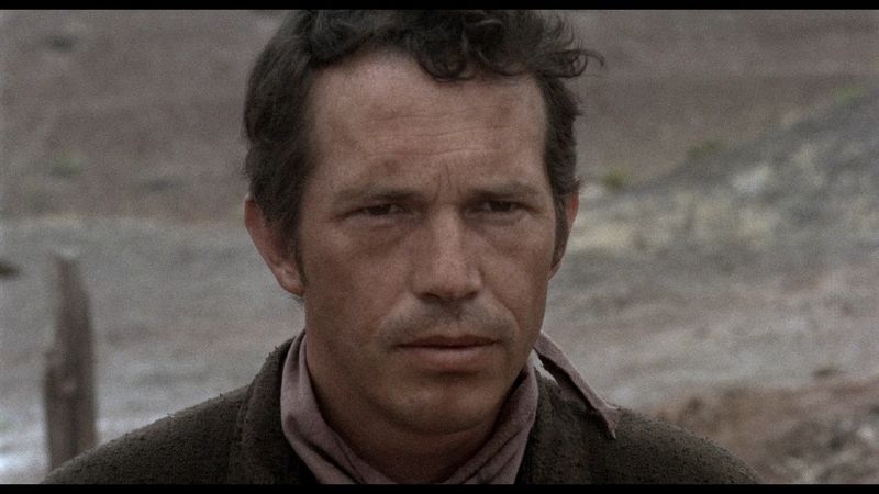 6a00d83451cb7469e201b8d08e4fd3970c-800wi