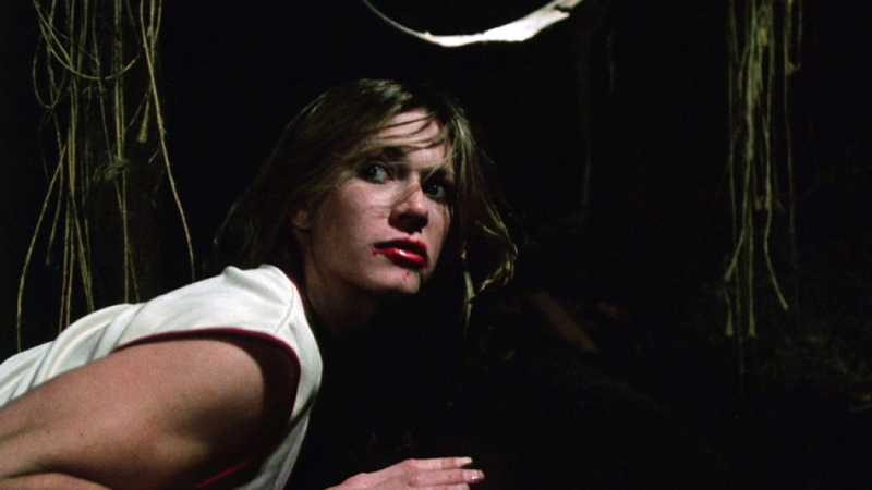 6a00d83451cb7469e201b8d2c2c6ea970c-800wi