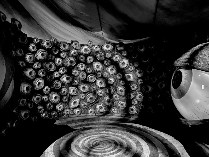 271760814_10159439158605792_5323230649362010899_n